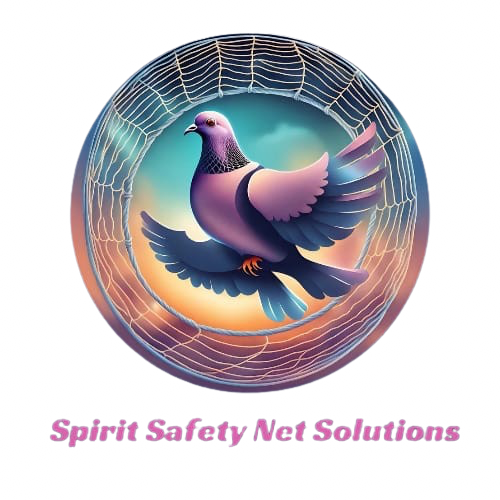 spirit net solutions